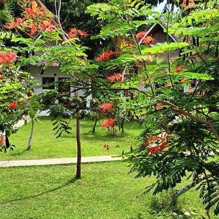 Namaste Bungalows Sakti Экстерьер фото